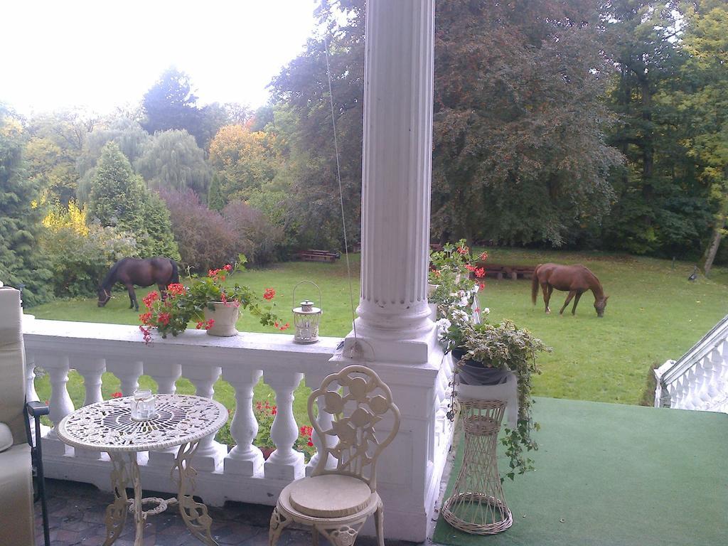 Agroturystyka "Palac W Janowie" Cameră foto